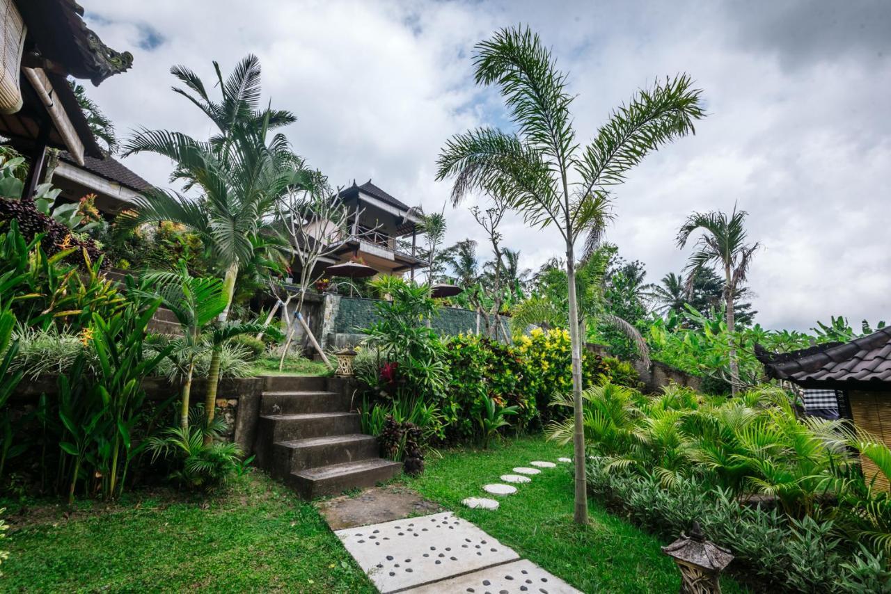 Guest house Arta Nadi 3*