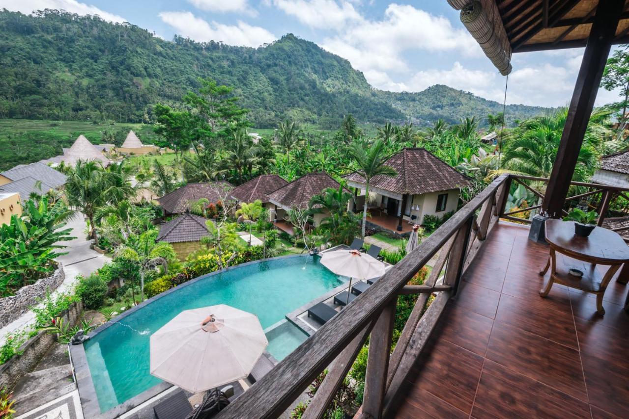 Guest house Arta Nadi 3*