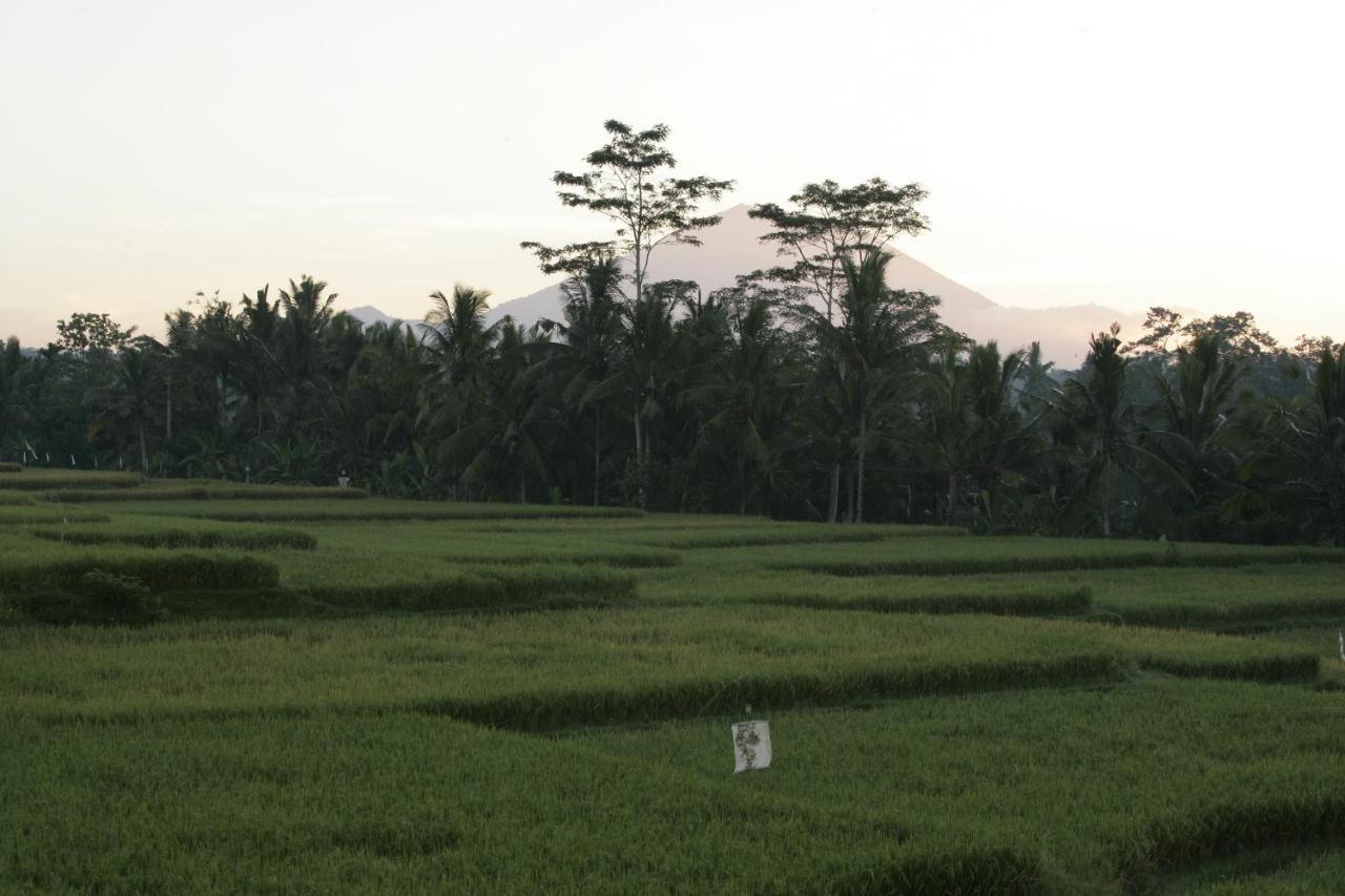 Viceroy Bali 5*