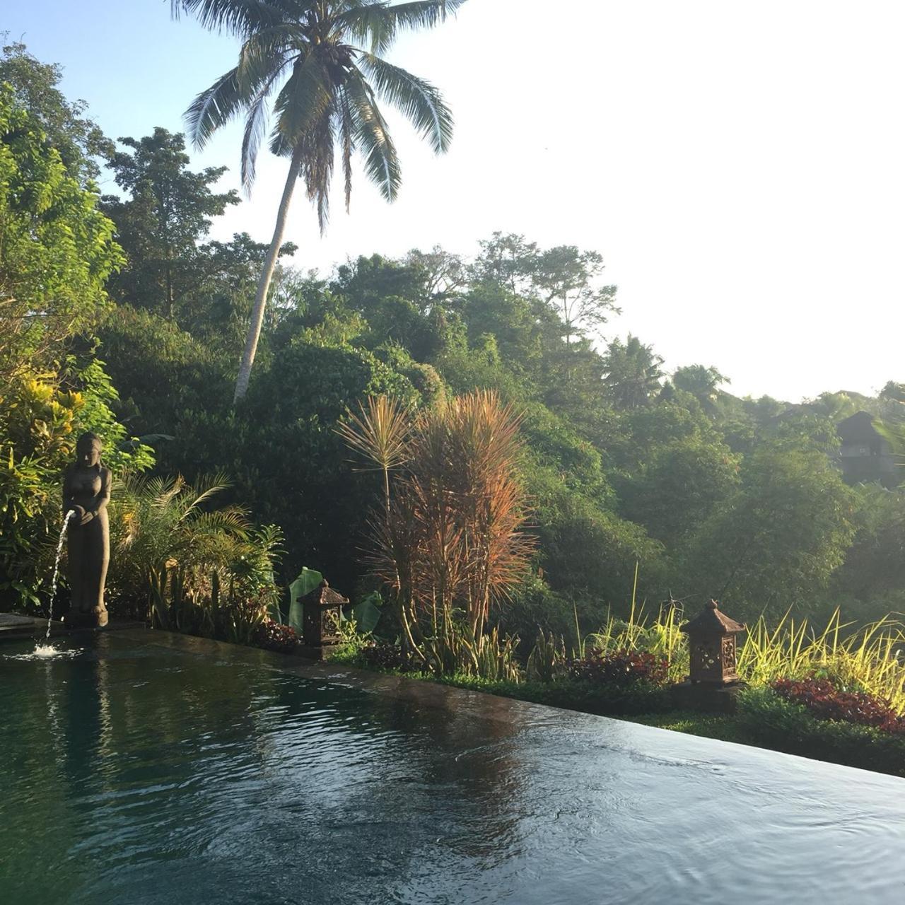Holiday park Kukuh House