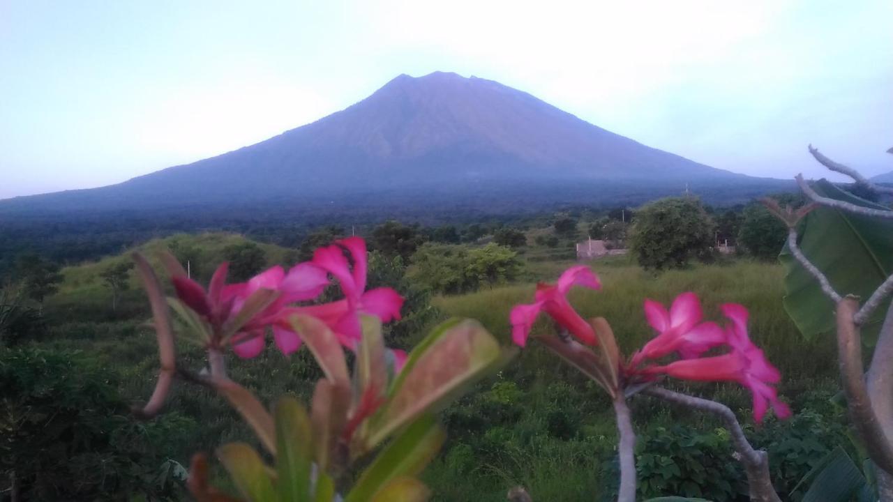 Khrisna Sunrise *