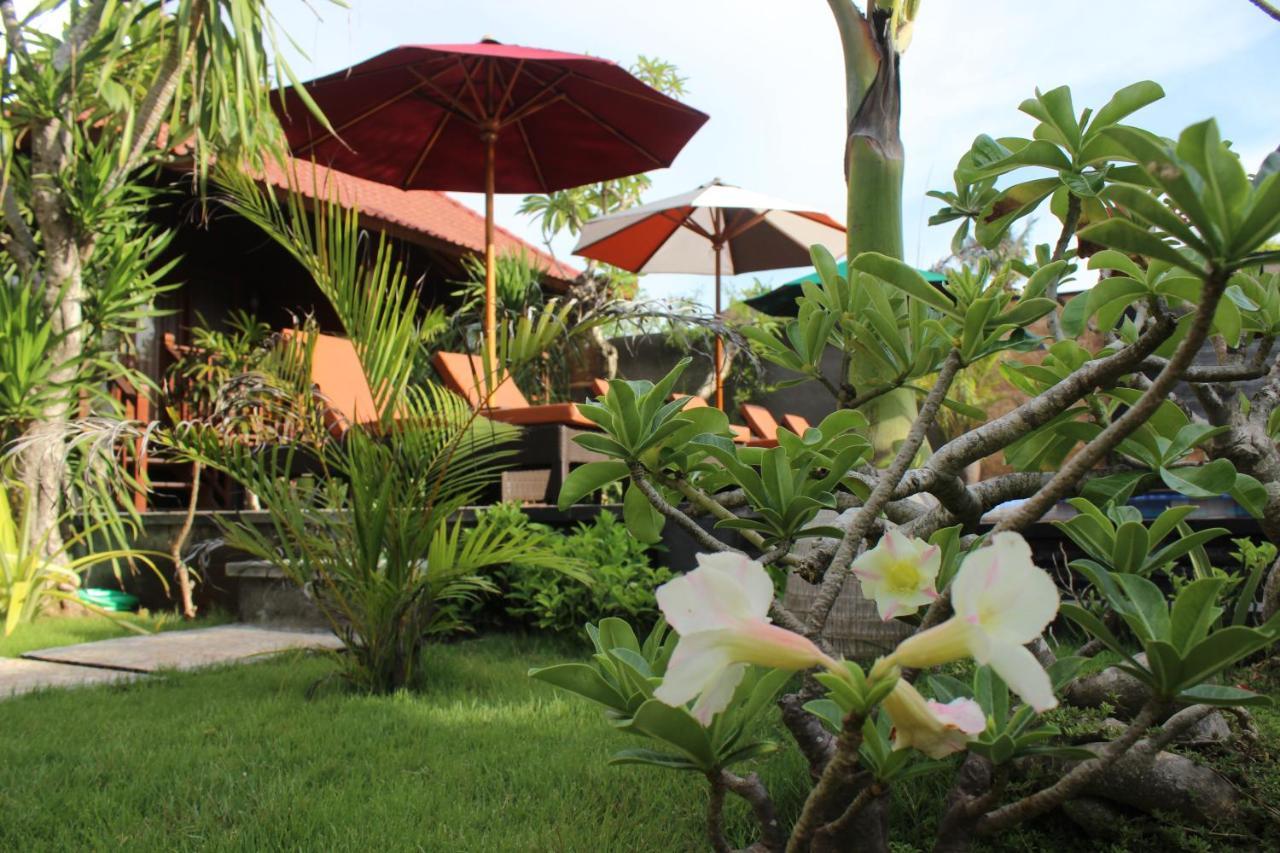 Pattri Garden Guest house