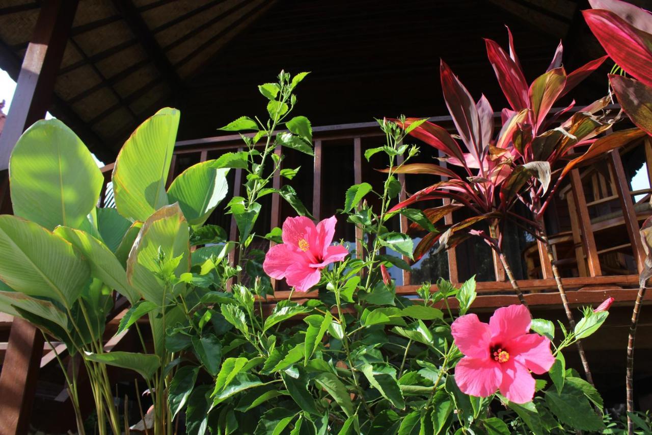 Pattri Garden Nusa Lembongan (Bali)