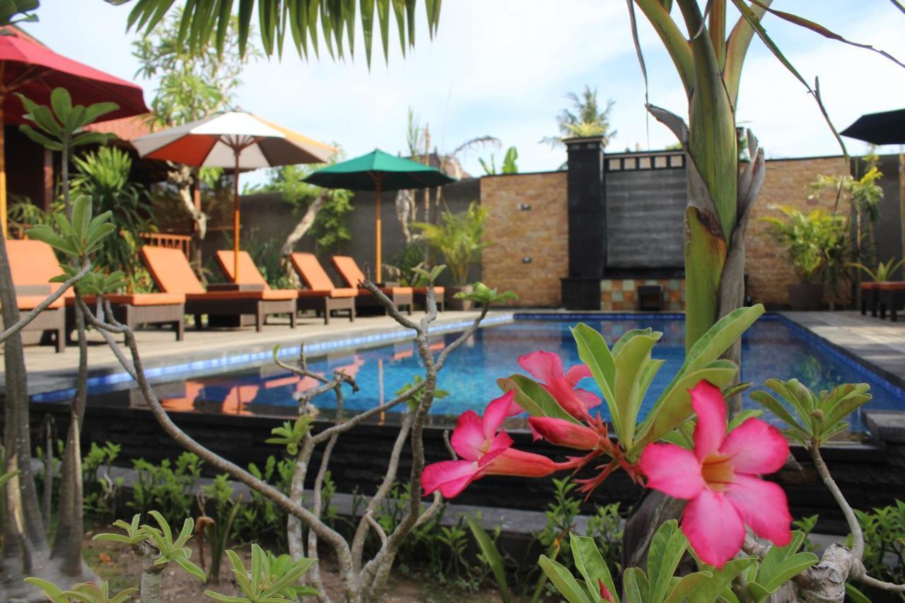 Pattri Garden Guest house 3*