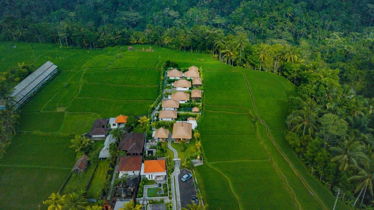 Three Gold Luxury Private Villa *