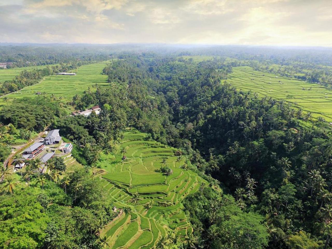 Suarapura &