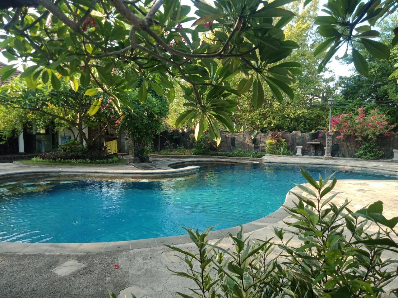 Rini 3* Lovina (Bali)