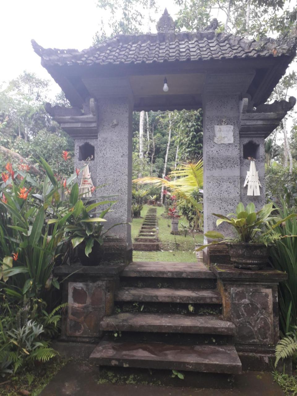 Tegal Jero Jatiluwih