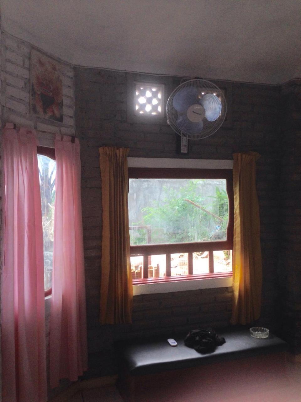 Hostel Apollo Lovina (Bali)