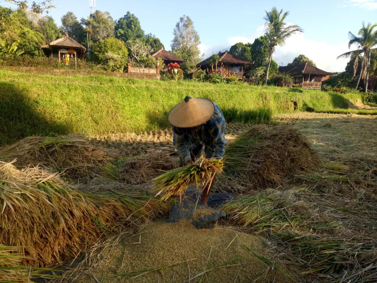 Taman liburan Puri Lumbung Restaurant&spa