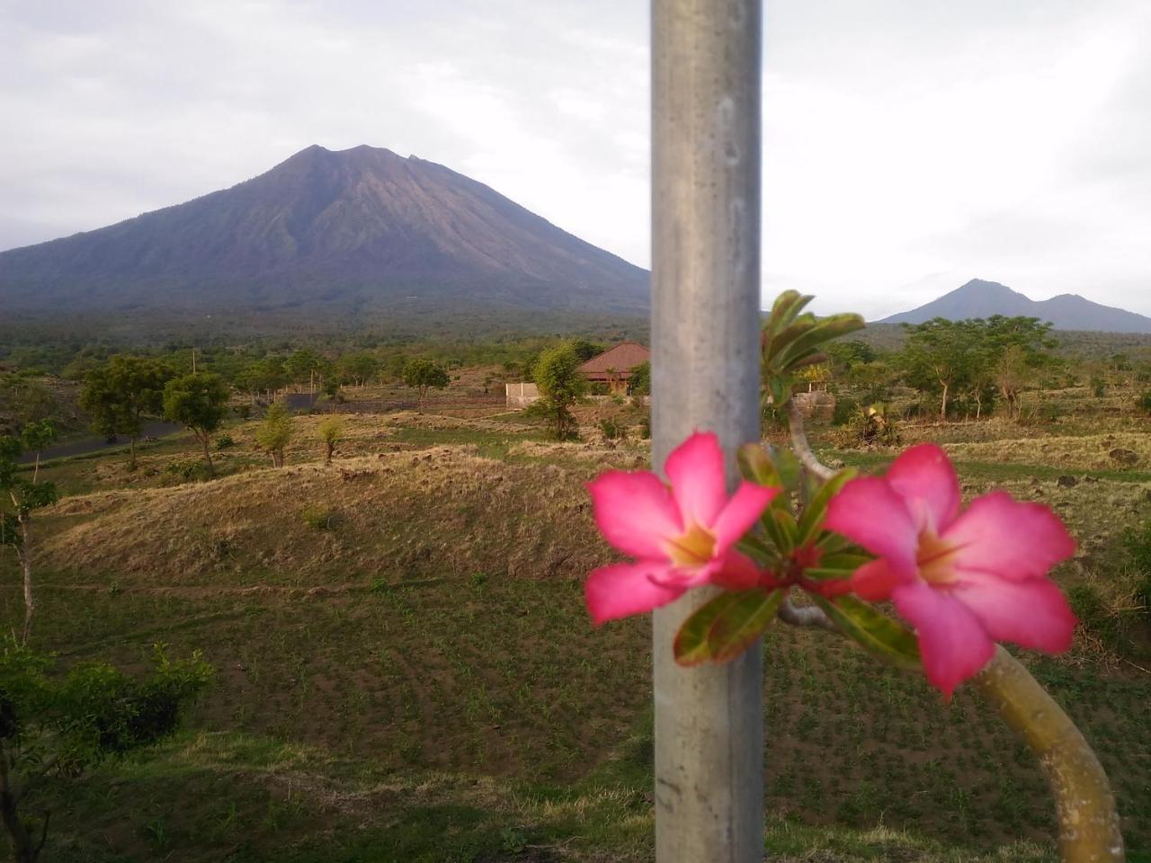 Guest house Khrisna Sunrise Tulamben (Bali)