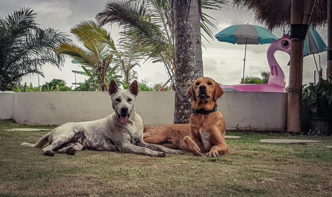 Clandestino * Canggu (Bali)