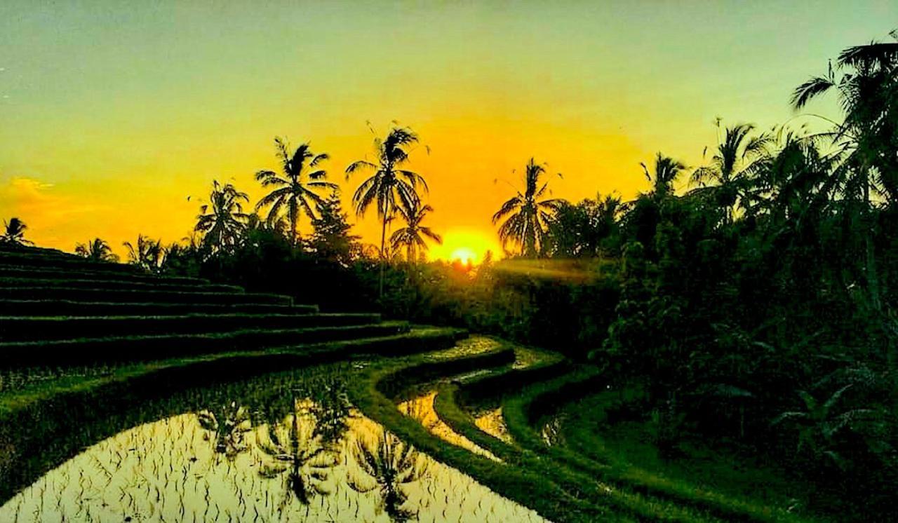 Balitrees Retreats Resort Selemadeg (Bali)