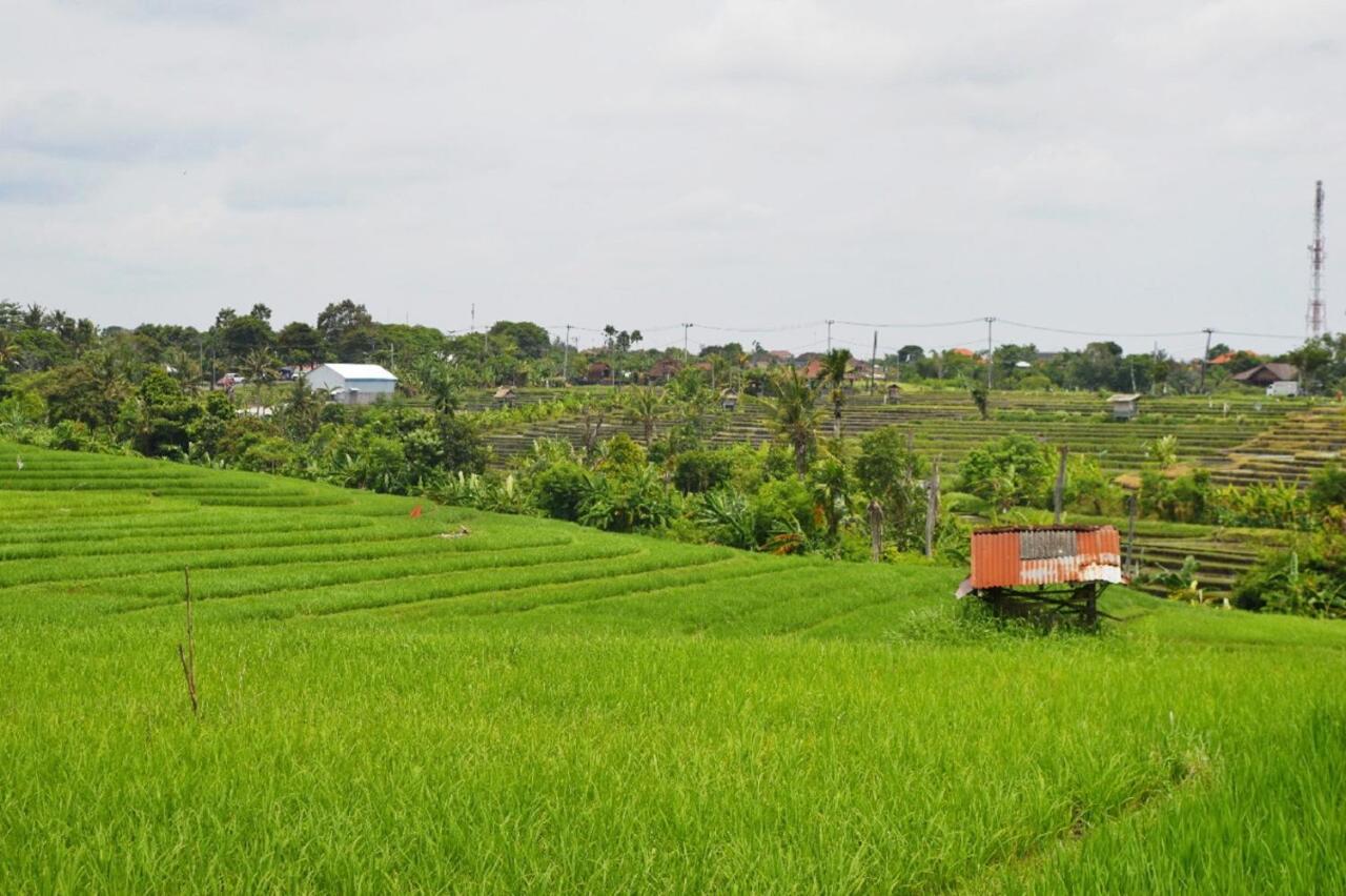 Resort The Bali Dream & Echo Canggu (Bali)