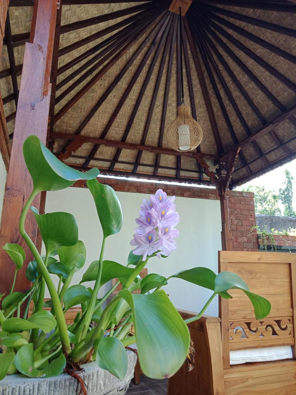 Homestay D'puja And *