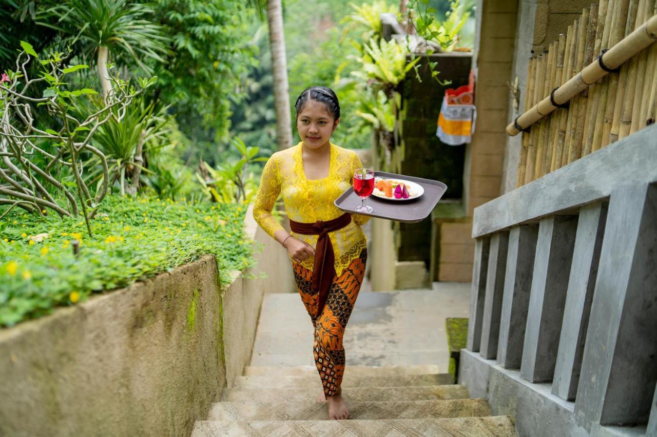 Guest house Paras 3*