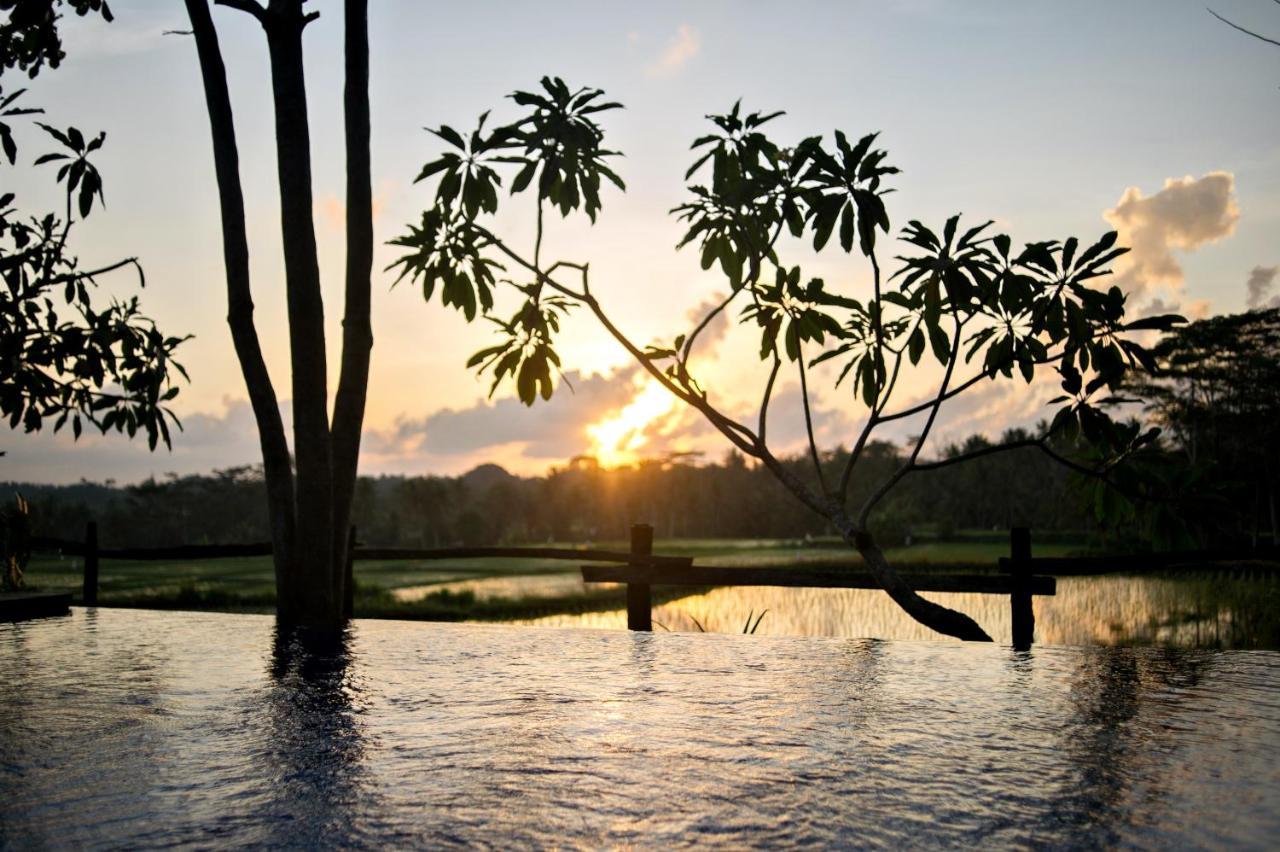 Omah Apik Hotel Ubud (Bali)