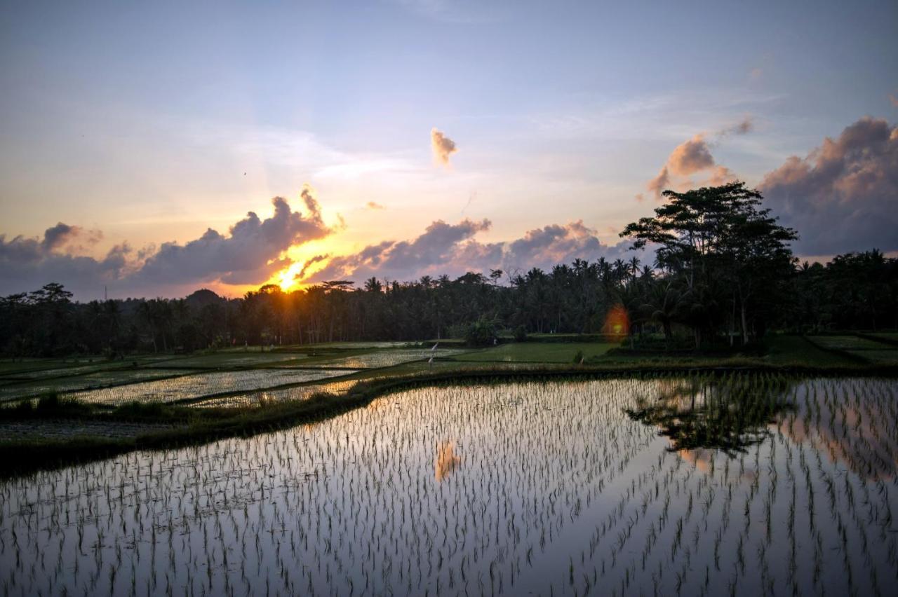 Omah Apik Hotel Ubud (Bali)