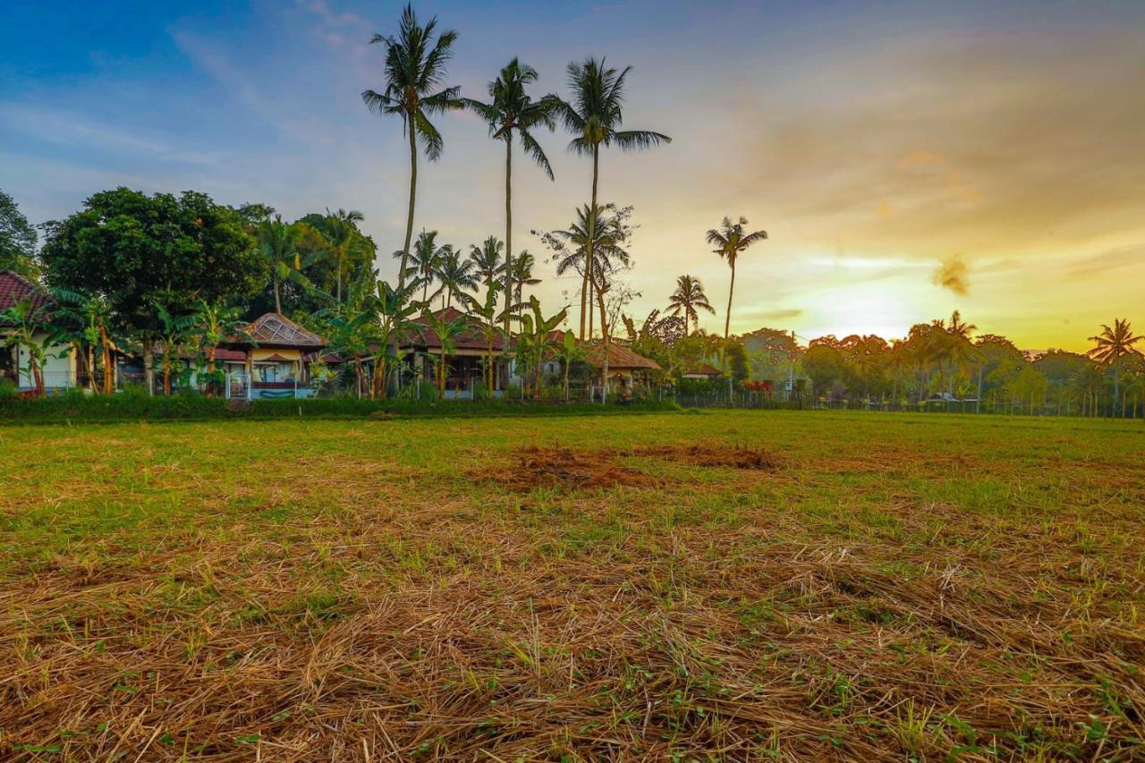 Villa Kaba Kaba Canggu (Bali)