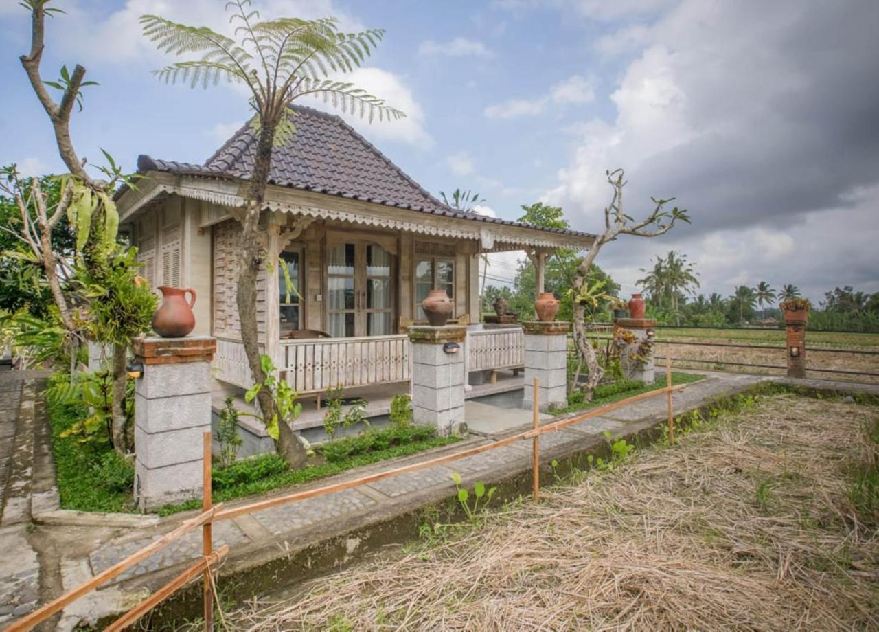 Guest house Uma Caming & Gym 4*