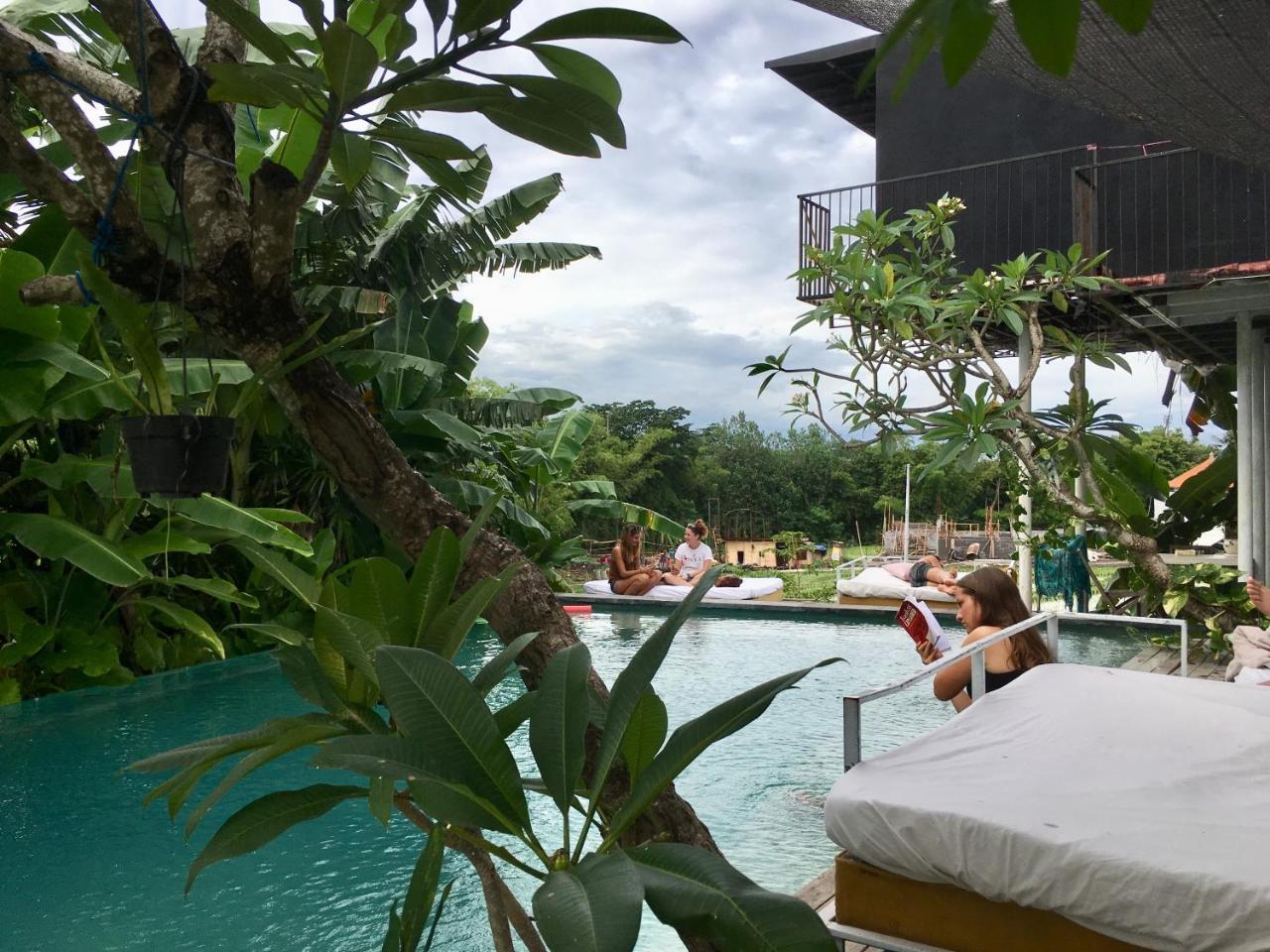 The Hide At (adults Only)