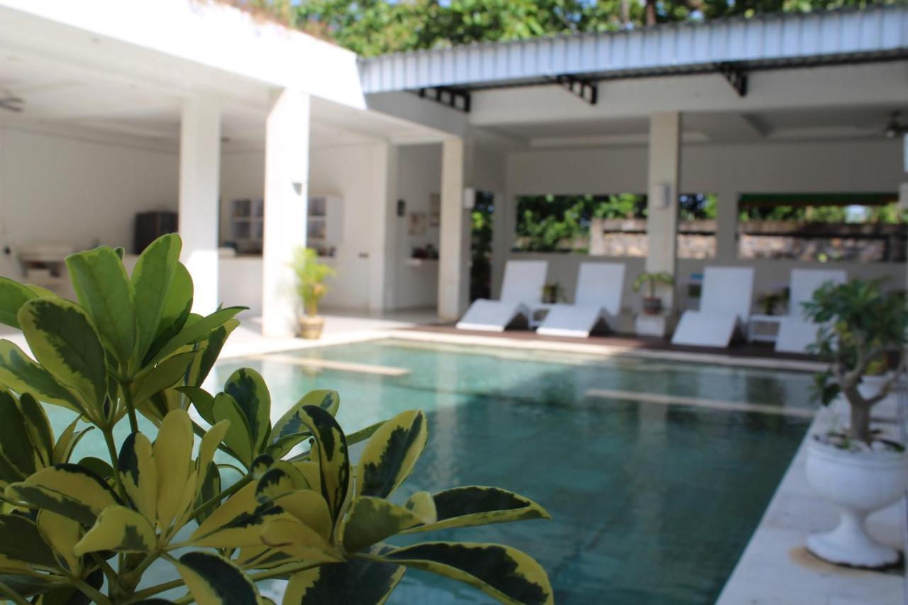 Guest house Putih Lovina (Bali)