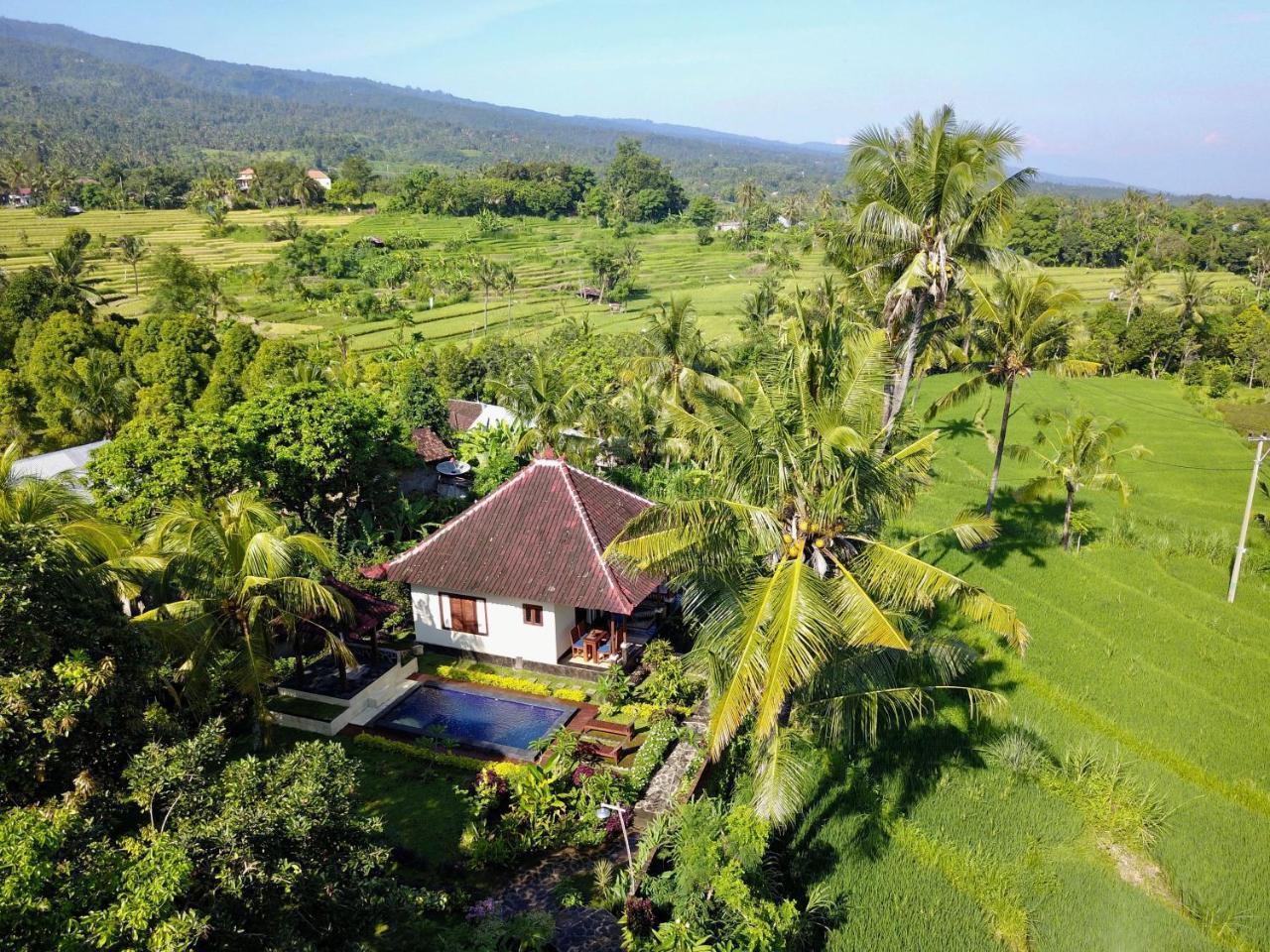 Lafyu Bali Singaraja (Bali)