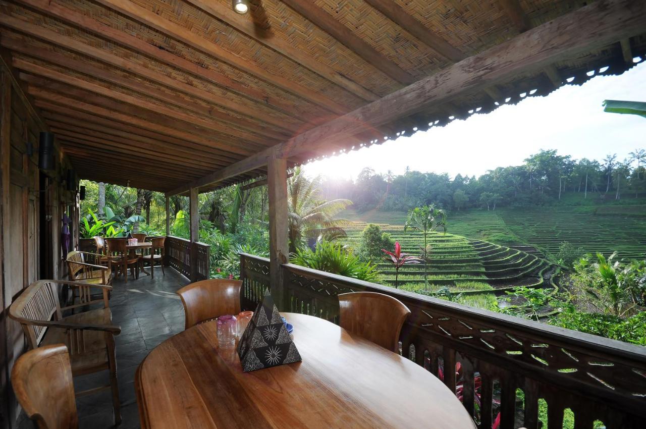 Bali Lush Bed & Breakfast