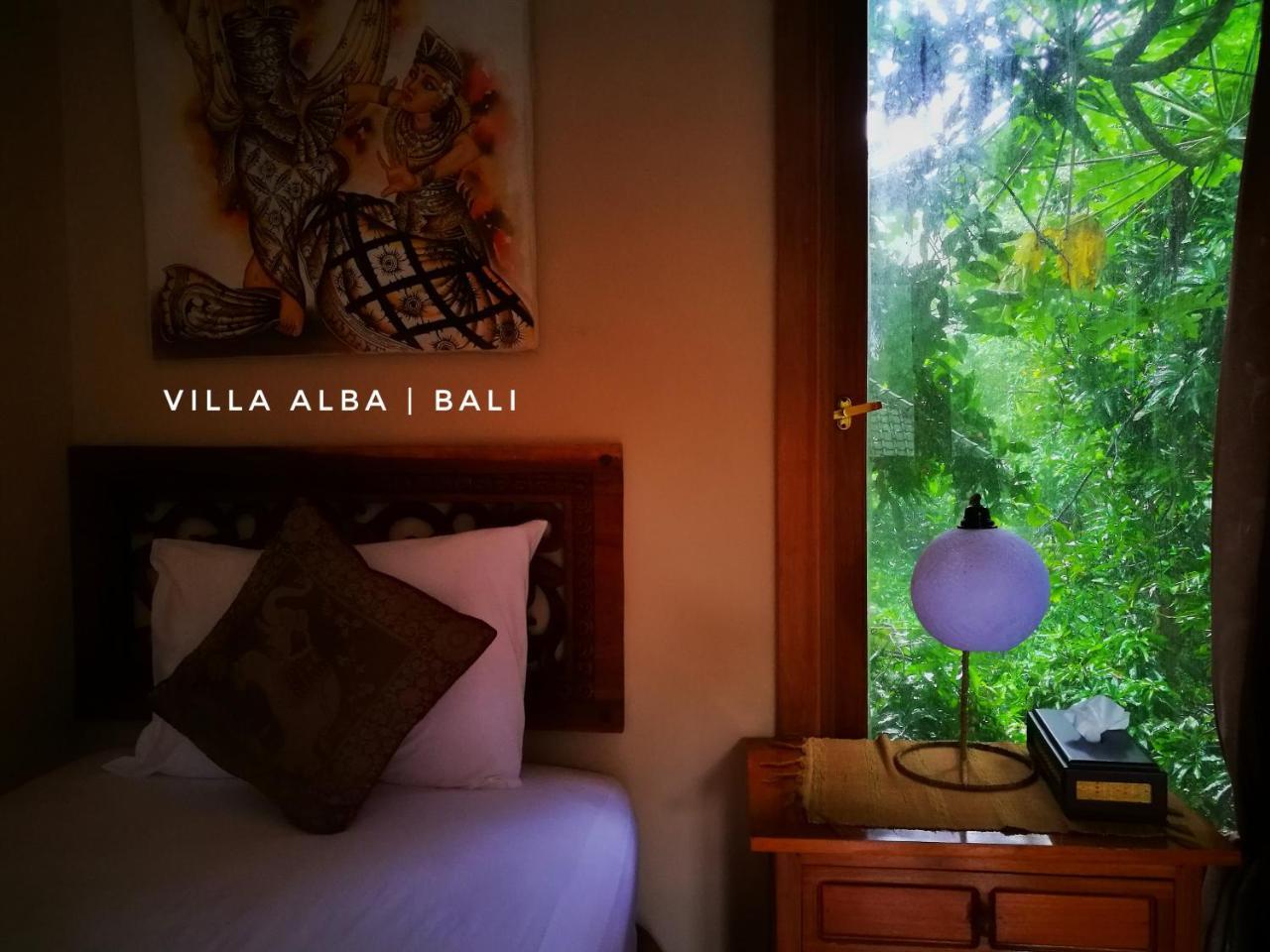 Alba Bali Dive