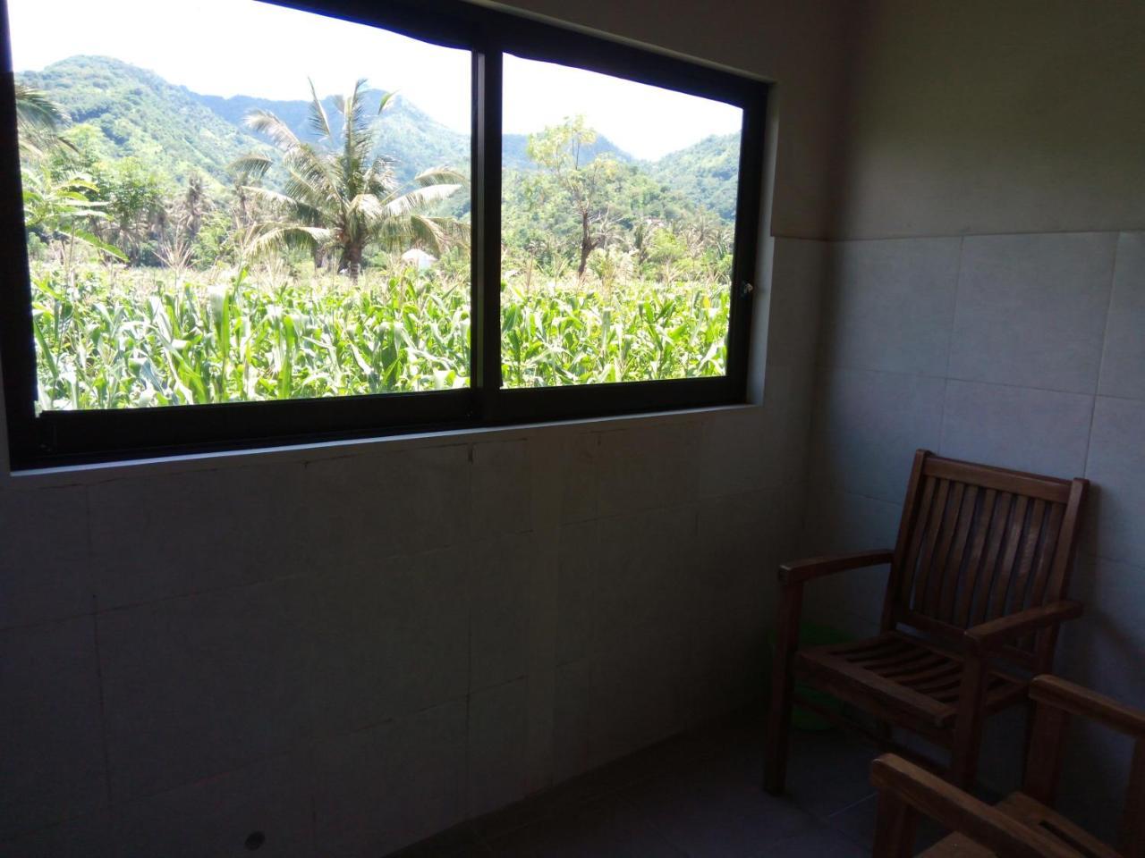 Mesari & Warung Amed (Bali)