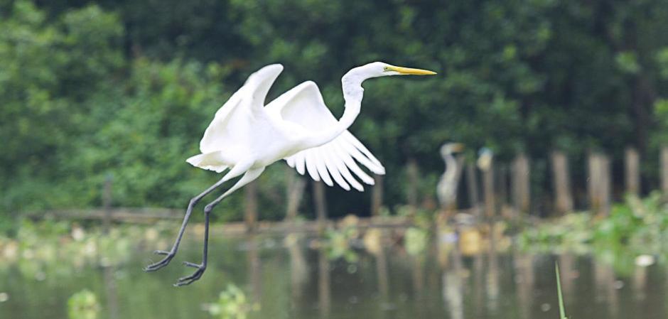 D'puja And Nusa Dua (Bali)