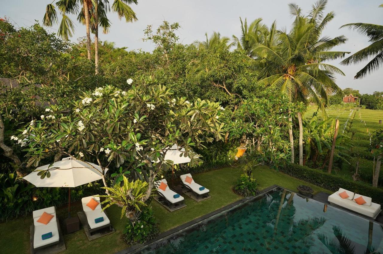 Sally * Canggu (Bali)
