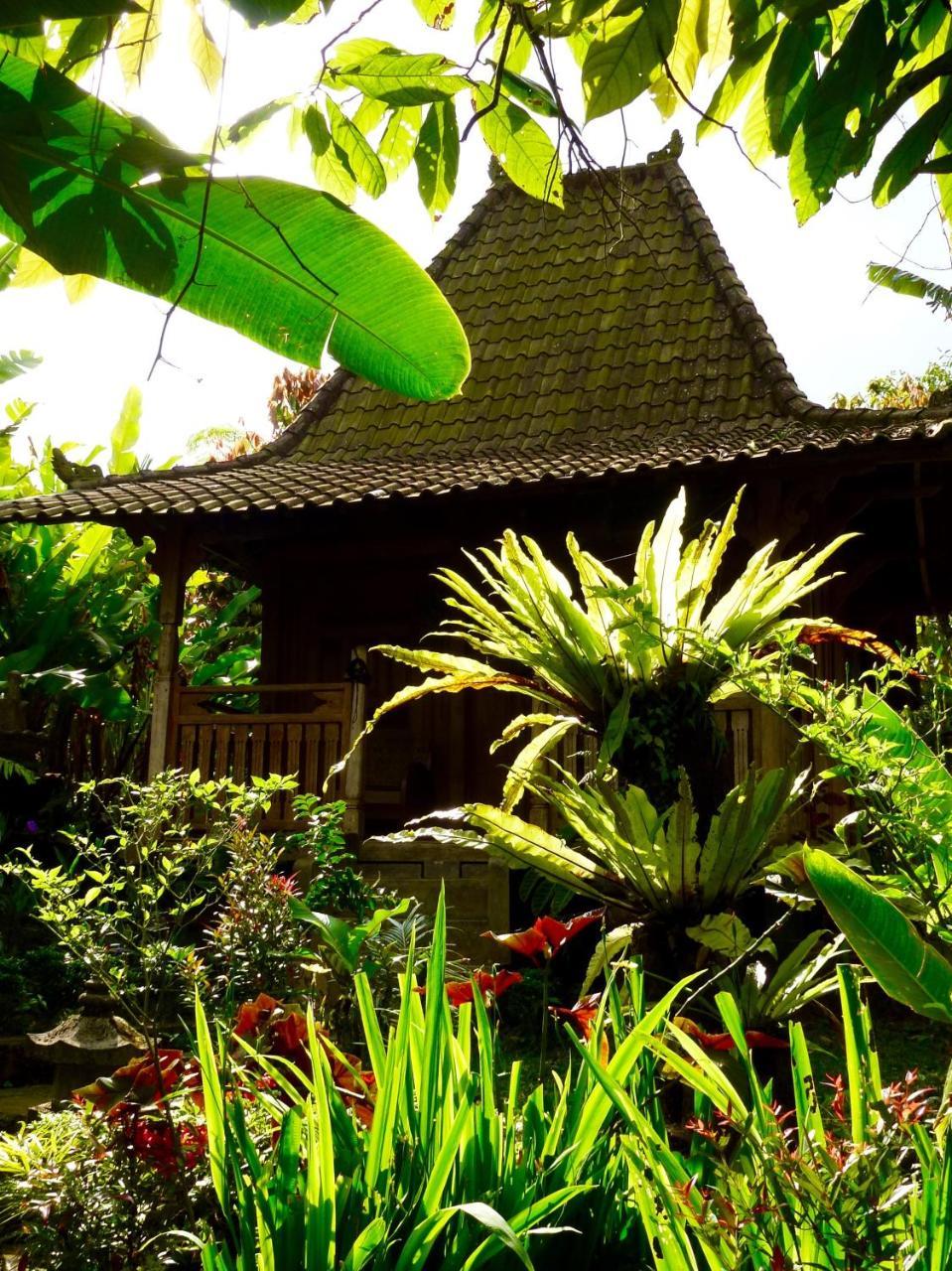 Lodge Bali Mountain Retreat Selemadeg (Bali)
