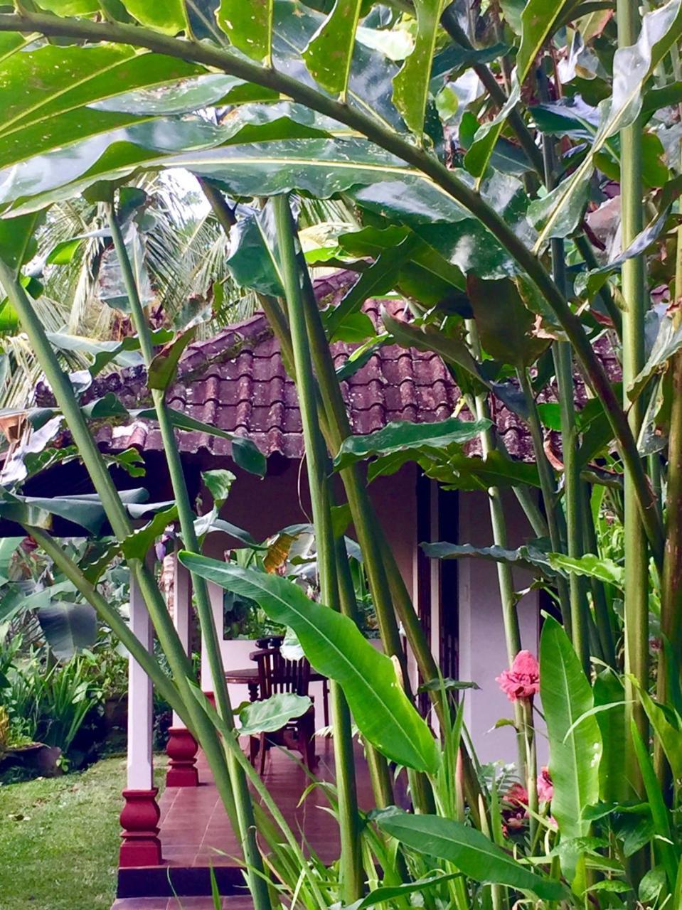 Lodge Bali Mountain Retreat *