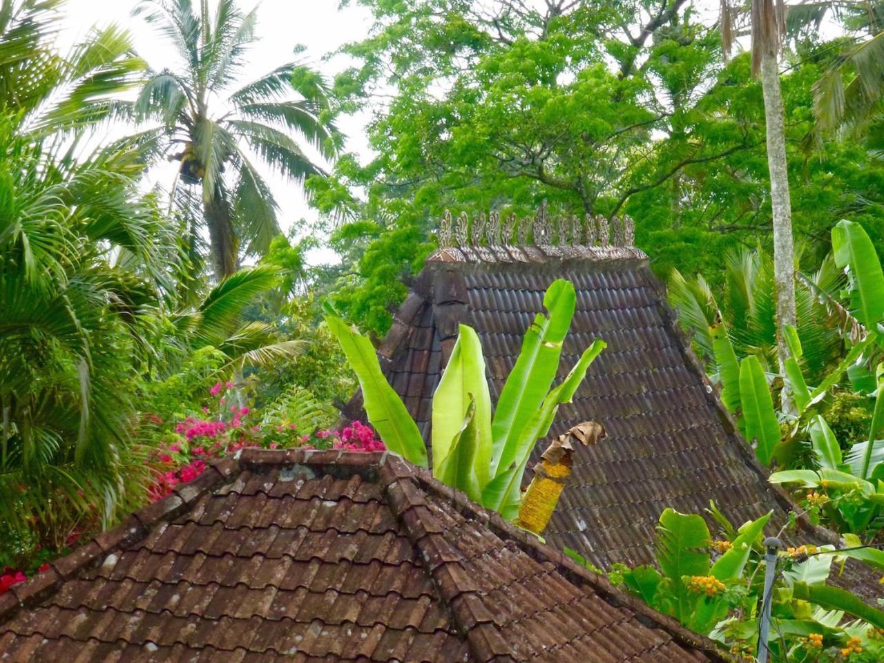 Lodge Bali Mountain Retreat