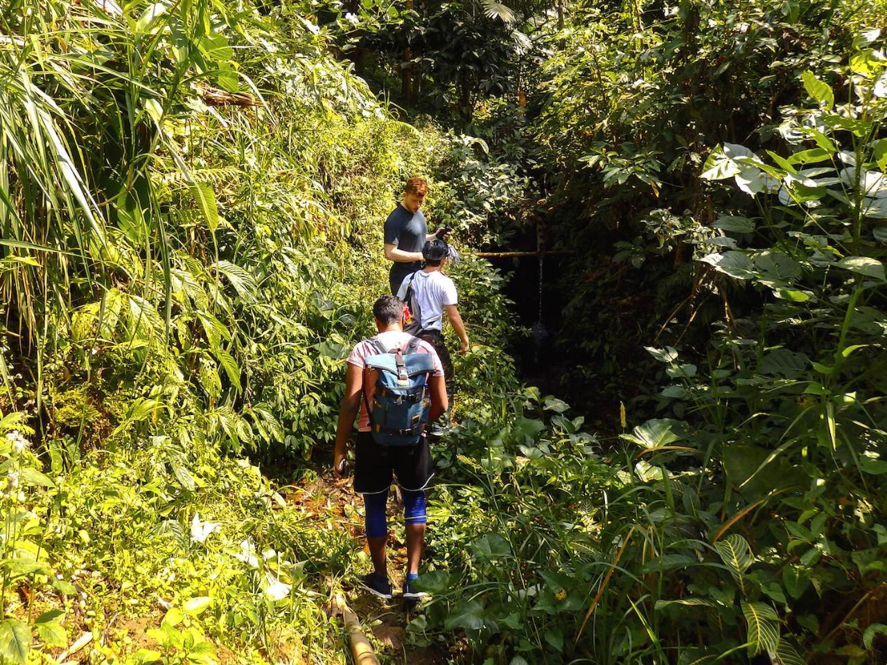 Bali Mountain Retreat Lodge Selemadeg (Bali)