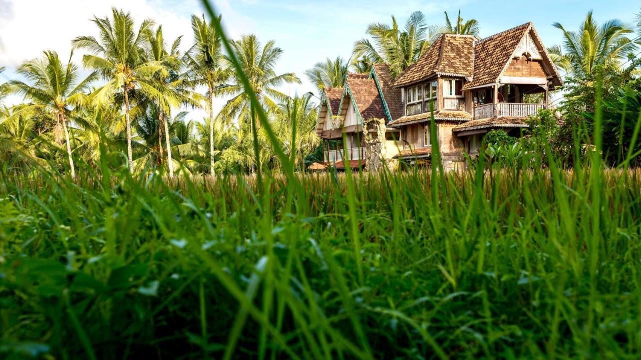 Wisma tamu The Rice Joglo Eco-stay *