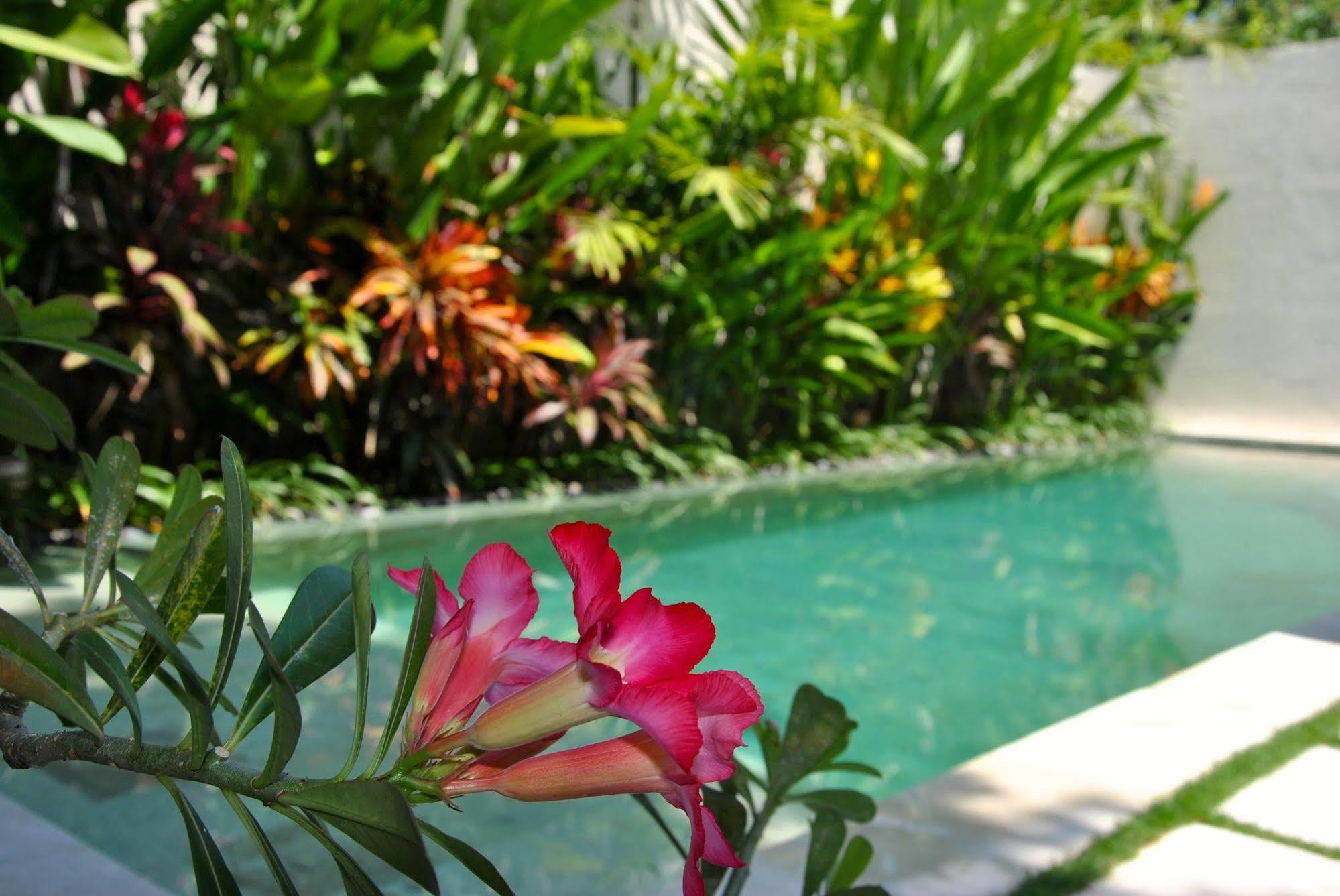 Bali Asri Batubelig * Seminyak (Bali)