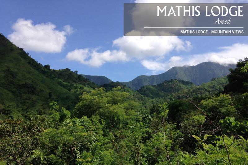 Mathis *