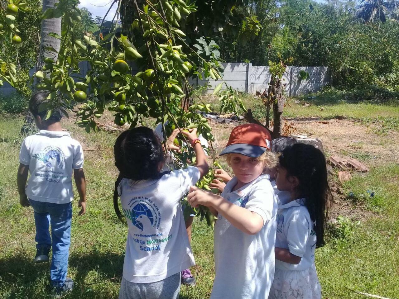 Buana Ecofarm * Grokgak