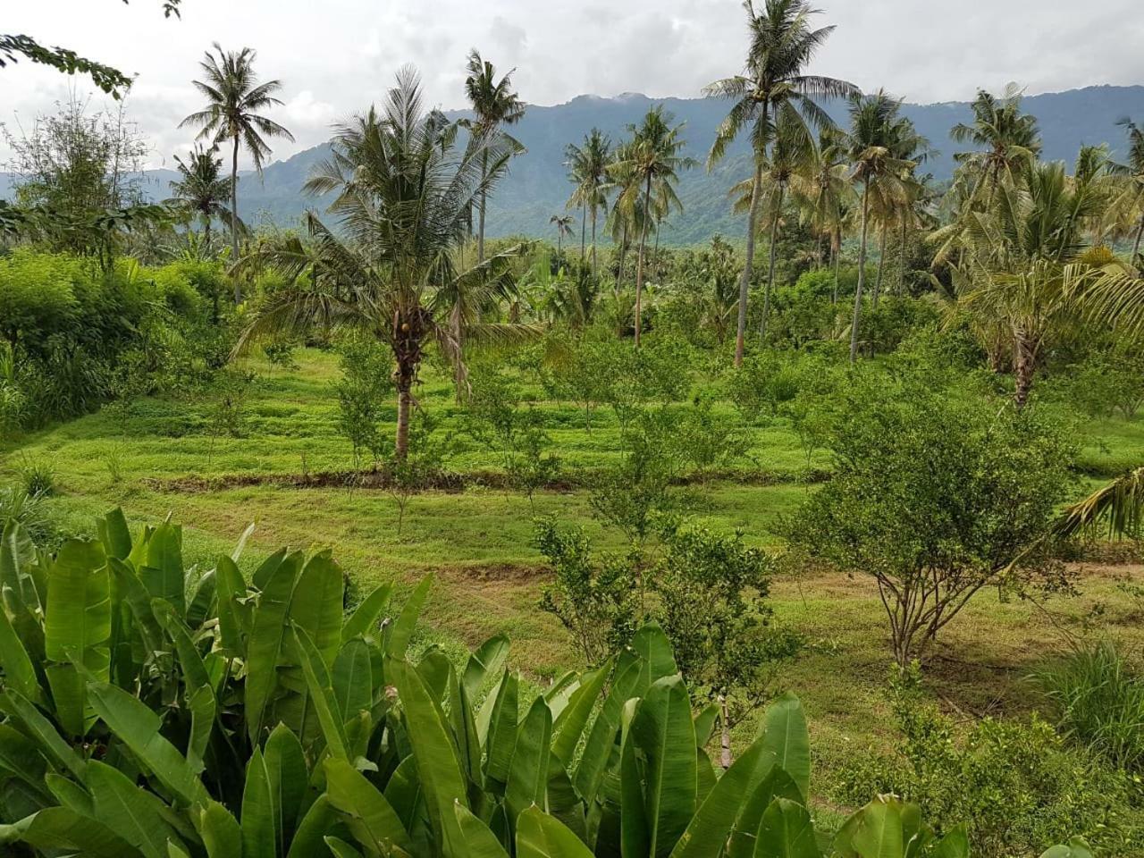Resort Buana Ecofarm *
