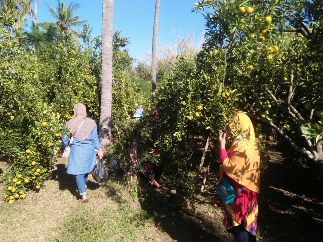 Resort Buana Ecofarm *