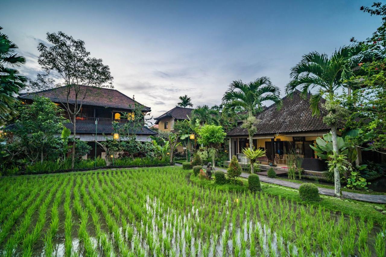 Bliss Ubud (Bali)