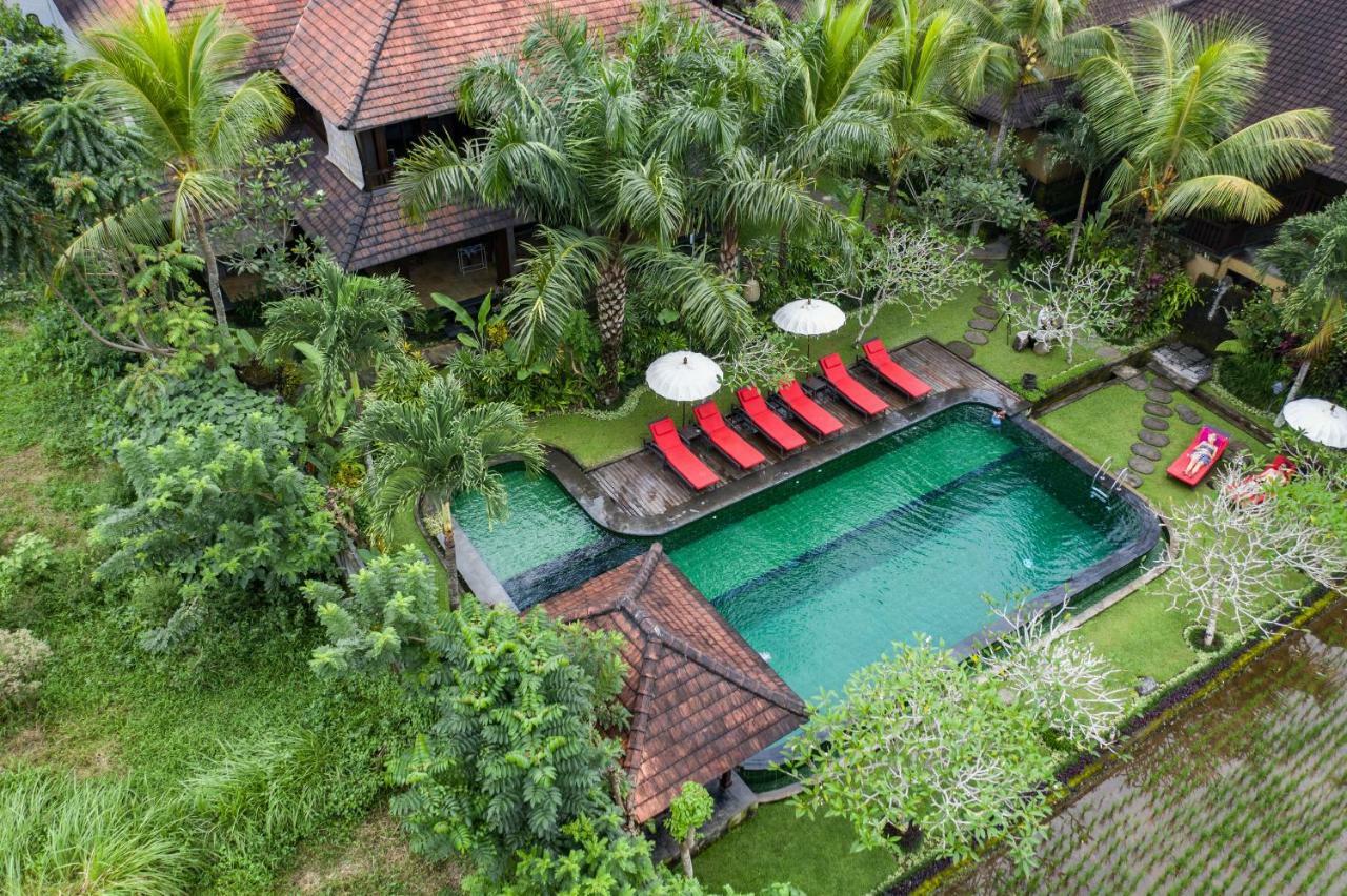 Bliss 4* Ubud (Bali)