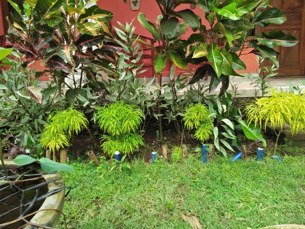 Made Roejas Homestay