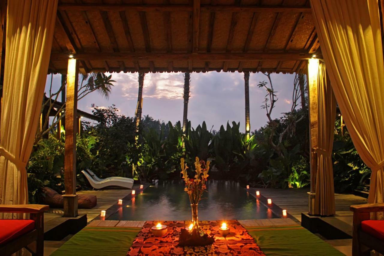 Virgin Villa *