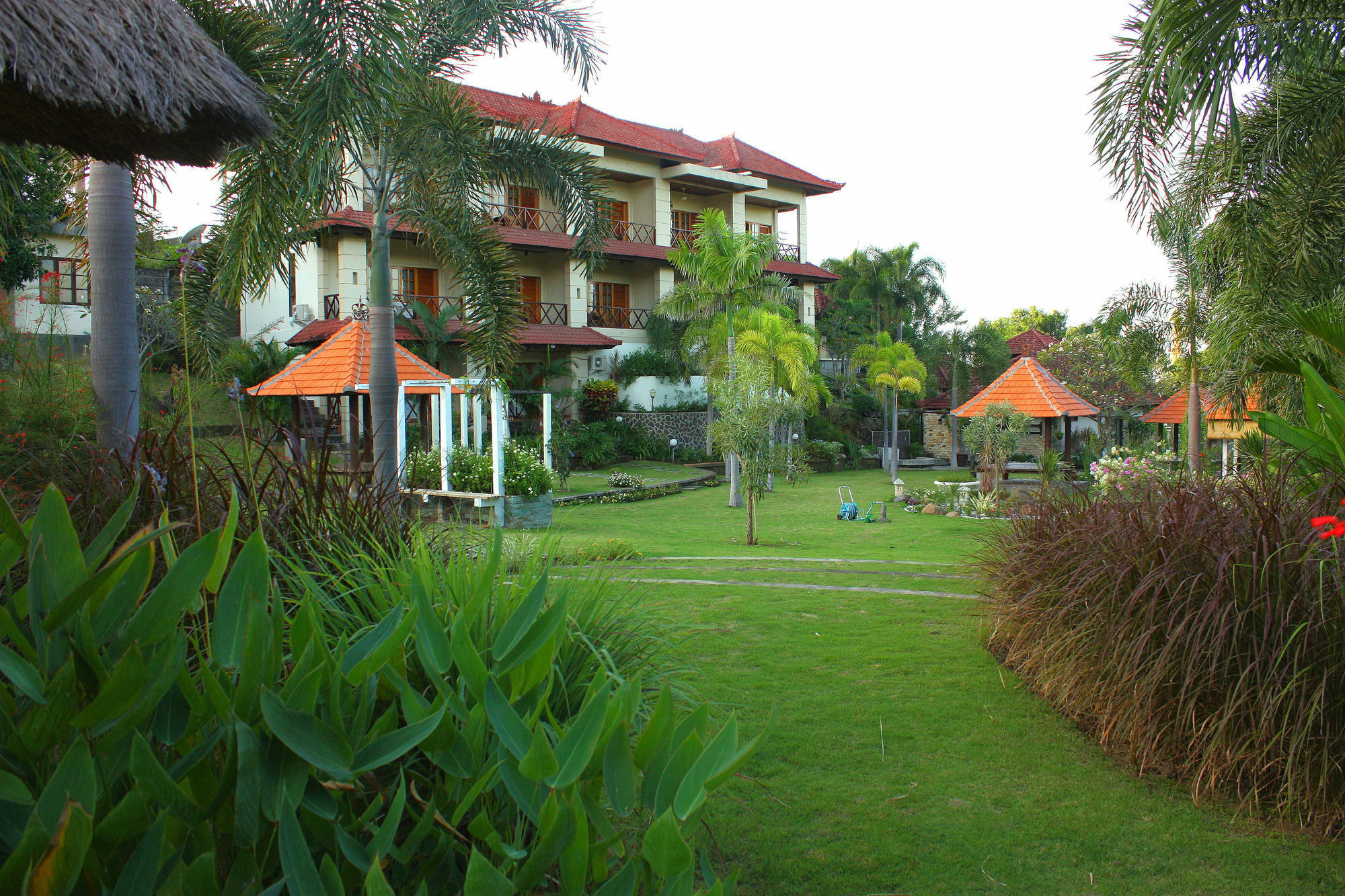 Hotel Bluehill Dive 3*
