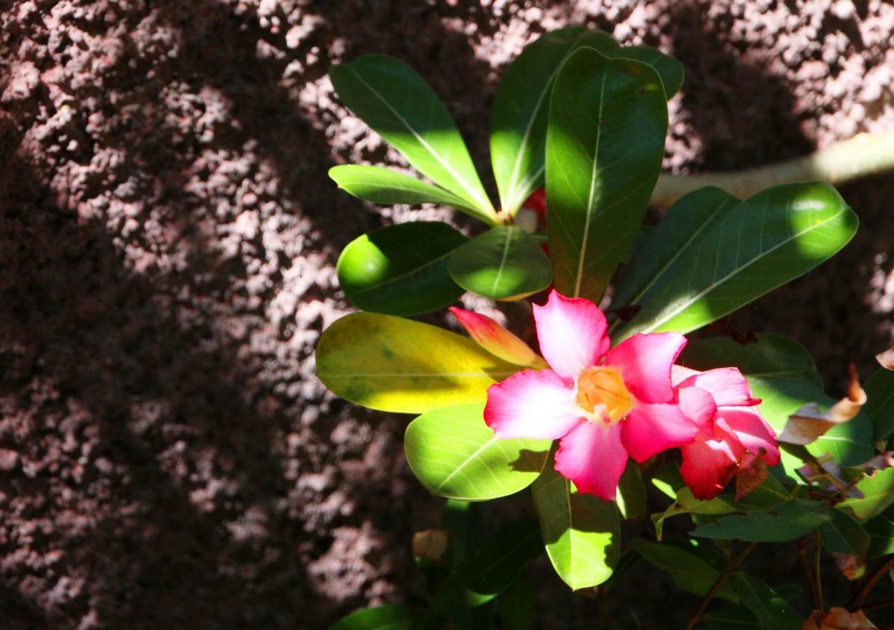 Merta Nadi Homestay Redpartner Uluwatu (Bali)