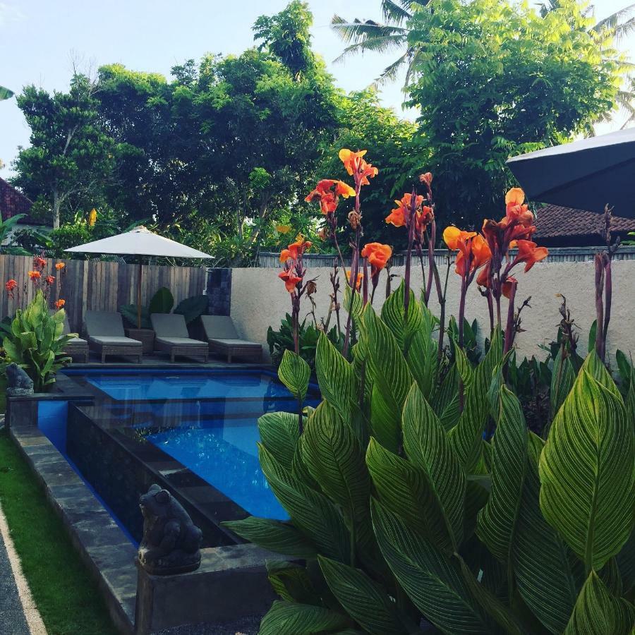 Hotel Small Heaven 3*