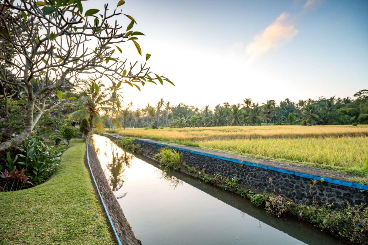 Guest house Taman Di Blayu By Nagisa Bali Tabanan (Bali)
